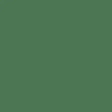 VERDE OLMO